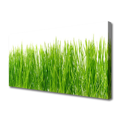 Print op doek Grass nature plant