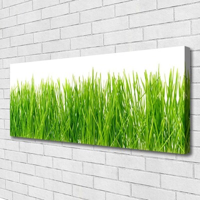 Print op doek Grass nature plant