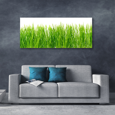 Print op doek Grass nature plant