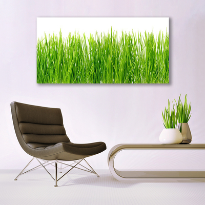 Print op doek Grass nature plant