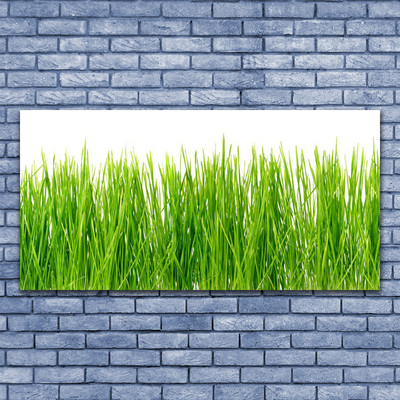 Print op doek Grass nature plant