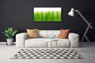 Print op doek Grass nature plant