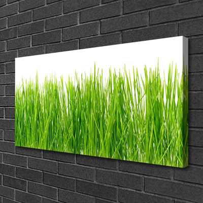 Print op doek Grass nature plant