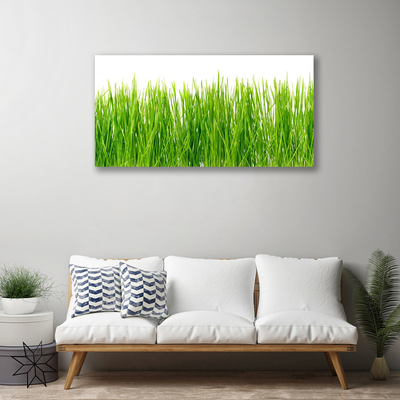 Print op doek Grass nature plant