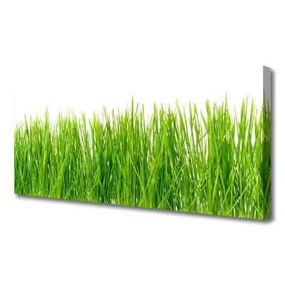 Print op doek Grass nature plant