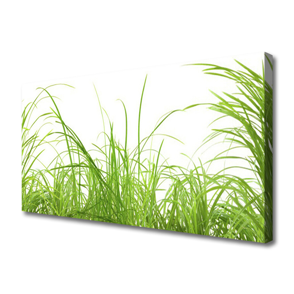 Print op doek Grass nature plant