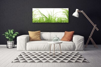 Print op doek Grass nature plant