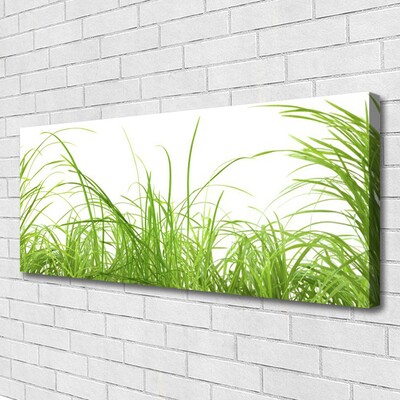 Print op doek Grass nature plant