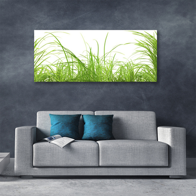 Print op doek Grass nature plant