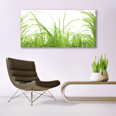 Print op doek Grass nature plant