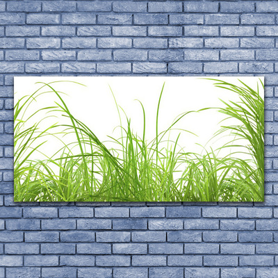 Print op doek Grass nature plant