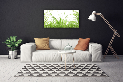 Print op doek Grass nature plant