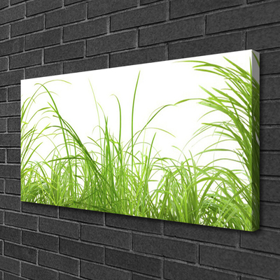 Print op doek Grass nature plant