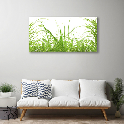 Print op doek Grass nature plant