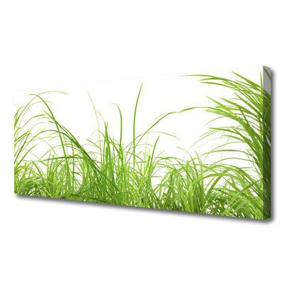 Print op doek Grass nature plant