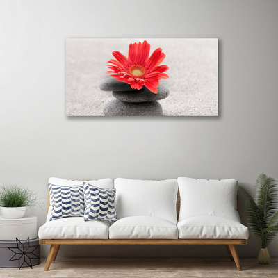 Print op doek De bloem van gerbera