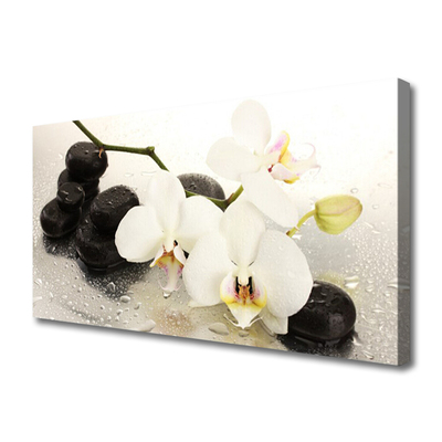 Print op doek Mooie bloem orchidee