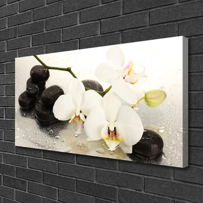 Print op doek Mooie bloem orchidee