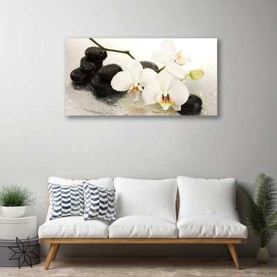 Print op doek Mooie bloem orchidee