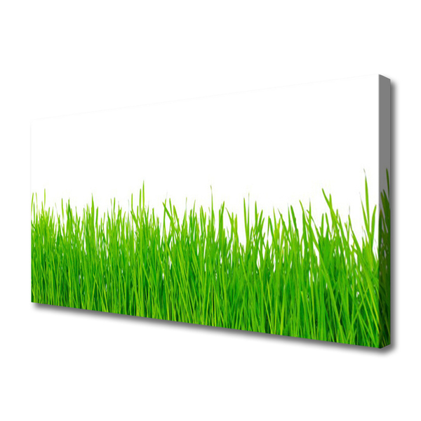 Print op doek Grass nature plant