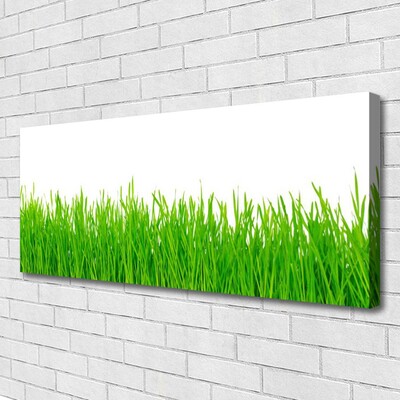 Print op doek Grass nature plant