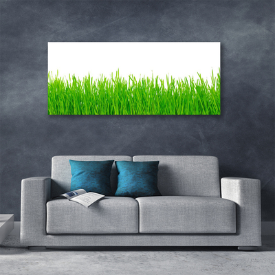 Print op doek Grass nature plant