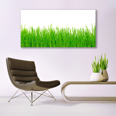 Print op doek Grass nature plant