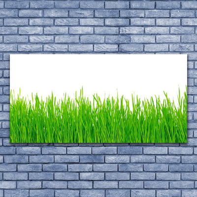 Print op doek Grass nature plant