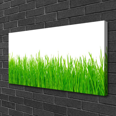 Print op doek Grass nature plant