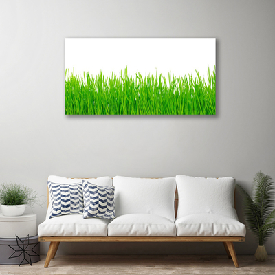 Print op doek Grass nature plant