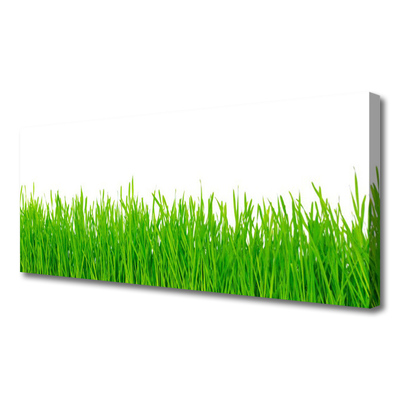 Print op doek Grass nature plant