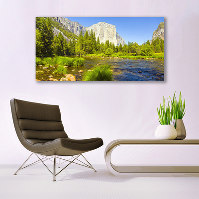 Print op doek Forest lake mountain nature