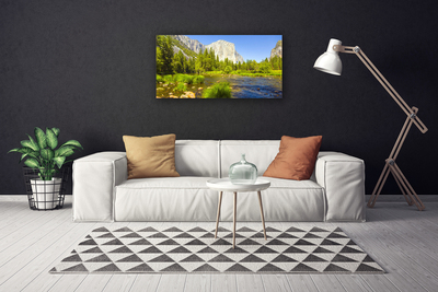 Print op doek Forest lake mountain nature