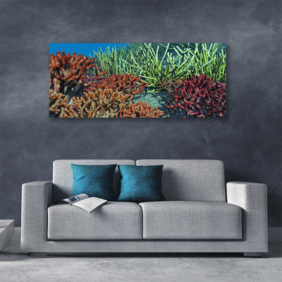 Print op doek Barrier reef nature