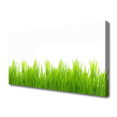 Print op doek Grass nature plant