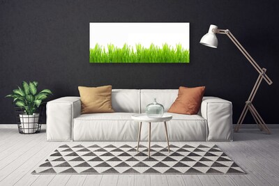 Print op doek Grass nature plant