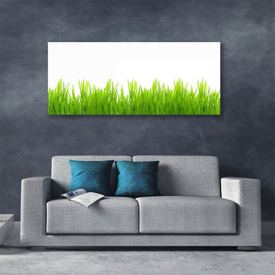 Print op doek Grass nature plant