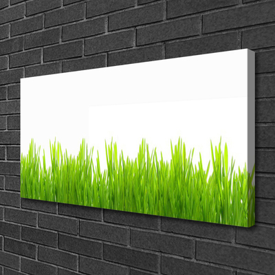 Print op doek Grass nature plant