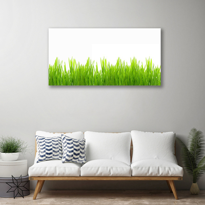 Print op doek Grass nature plant