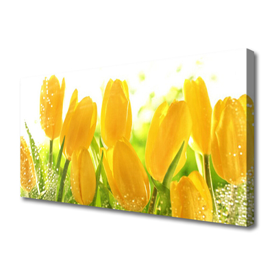 Print op doek Tulpen bloemen plant