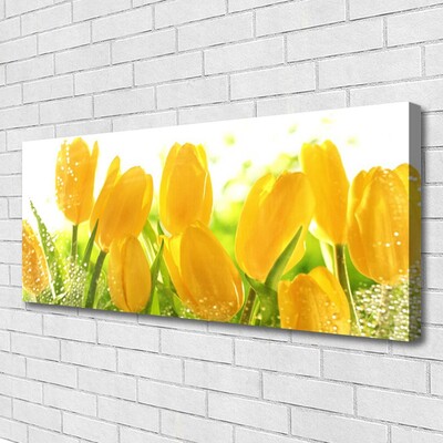 Print op doek Tulpen bloemen plant