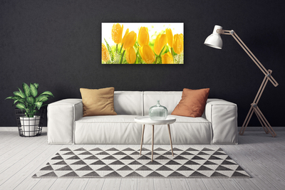 Print op doek Tulpen bloemen plant