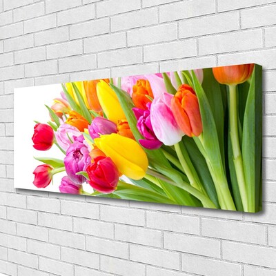 Print op doek Tulpen bloemen plant