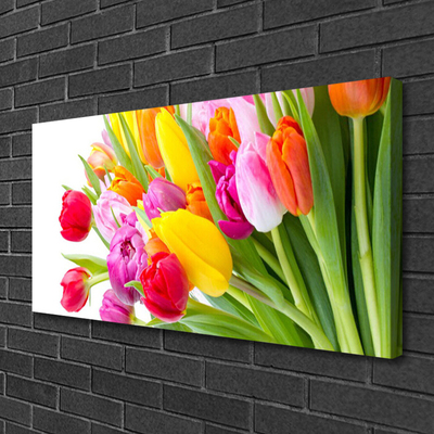 Print op doek Tulpen bloemen plant