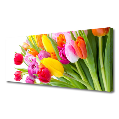 Print op doek Tulpen bloemen plant