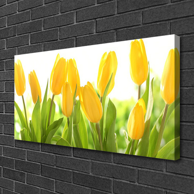 Print op doek Tulpen bloemen plant