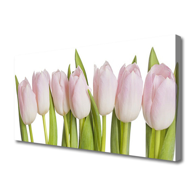 Print op doek Tulpen bloemen plant