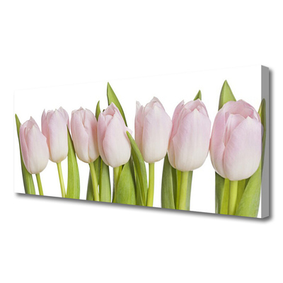 Print op doek Tulpen bloemen plant