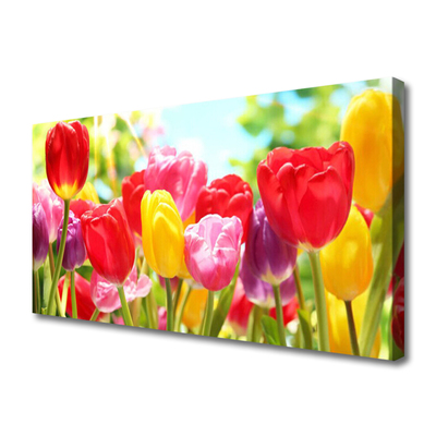 Print op doek Tulpen bloemen plant