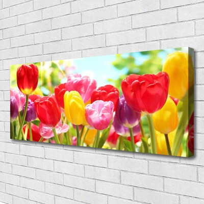 Print op doek Tulpen bloemen plant